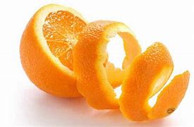 Image result for Bad Orange Fruit