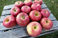 Image result for Crisp Apples Varieties
