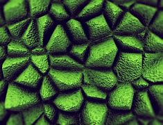Image result for Abstract Organic Texture