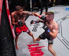 Image result for PFL Fight Results