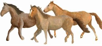 Image result for 4 Horses Running