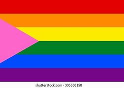 Image result for Rainbow Flag Pink Triangle