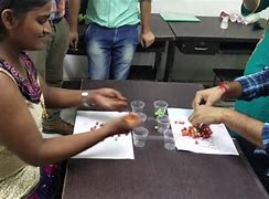 Image result for Fun Games for Office with Ball