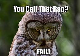 Image result for Funny Owl Memes Clean