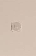 Image result for White Home Button iPhone 5C