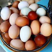 Image result for Farm Fresh Eggs