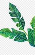 Image result for Aesthetic Pictures Green Clip Art