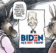Image result for Funny Political Cartoons