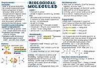 Image result for Molecules of Life Grade 10 Notes