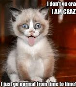 Image result for Memes About Crazy