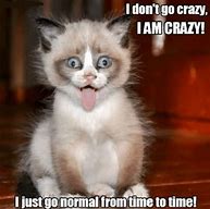 Image result for Dealing with Crazy Meme