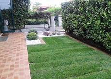 tappeto erboso in rotoli manutenzione verde dimensione giardino tappeto erboso in rotoli manutenzione verde dimensione giardino