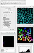 Image result for ImageJ Software Icon