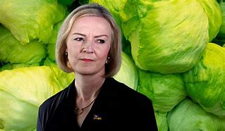 Image result for Liz Truss Lettuce