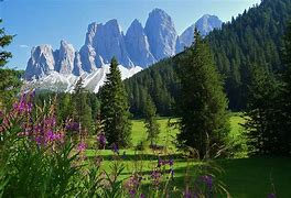 Image result for South Tyrol Alto Adige Italy