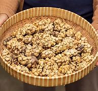 Image result for Civet Cat Coffee