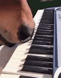 Image result for Piano Playing Meme