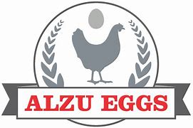 Image result for Alzu Retail Logo