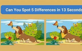 Image result for Tell the Difference Between