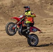 Image result for Pro Dirt RC