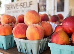 Image result for Blue Cartons of Peaches