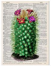 Image result for Cactus Dictionary Prints