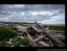 Image result for Comox Estuary