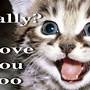 Image result for Funny Cat Mouth