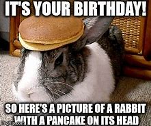 Image result for Pancake Rabbit Meme