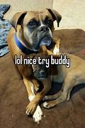 Image result for Good Try Buddy