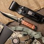 Image result for Best Quality Bowie Knife