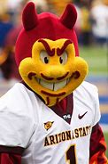 Image result for Pac-12 Mascots