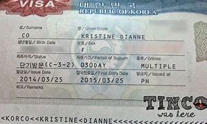 Image result for Multiple Visa