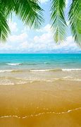 Image result for Summer Backdrops for Photography