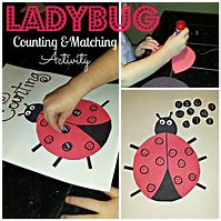 Image result for Ladybug Counting
