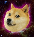 Image result for Galaxy Doge Wallpaper