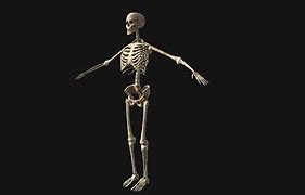 Image result for T-Pose Skeleton Meme