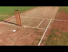 Image result for Roll Out Cricket Wicket