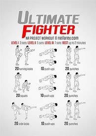 Image result for MMA Workout Plan