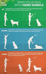 Image result for Hand Signals for Dogs