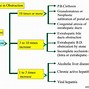 Image result for Alkaline Phosphatase Bone