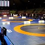Image result for Wrestling Mat Green and Yellow