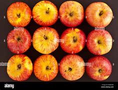 Image result for Heyer 12 Apple