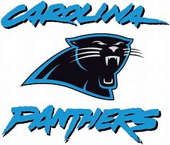 Image result for Panthers Word Logo