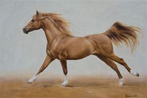 Image result for Arabian Horse Art