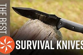Image result for Best Survival Hip Knife