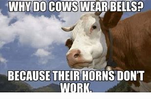 Image result for Mad Cow Meme