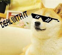 Image result for All Doge Memes