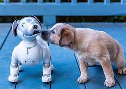 Image result for Robot Dogs with Fur