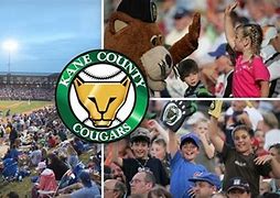 Image result for Minor League Football
